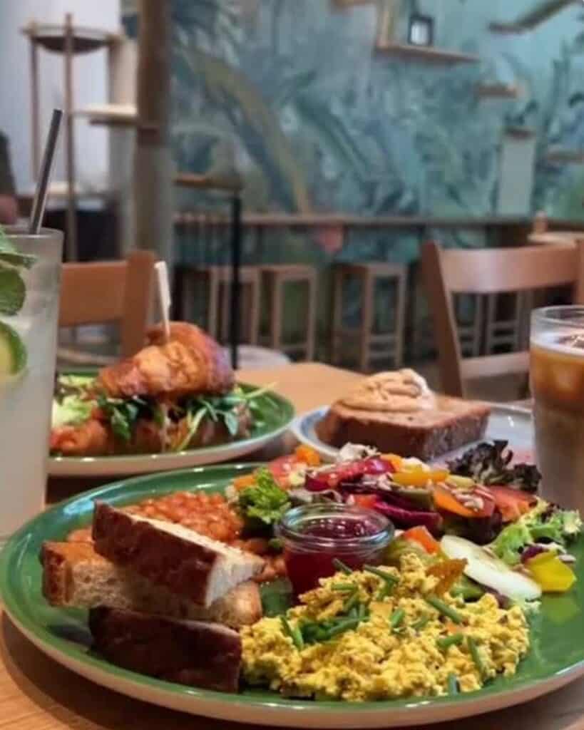 Vegan food at Katzentempel in Munich