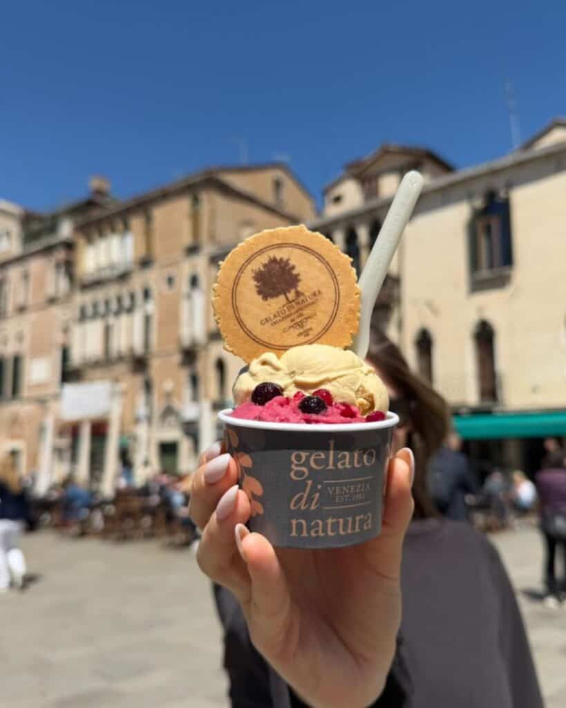Vegan food at Gelato di Natura in Venice