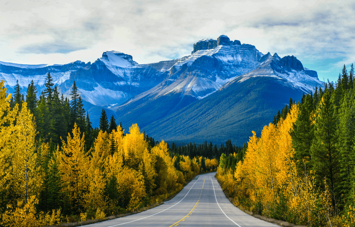 Canada vegan travel guide