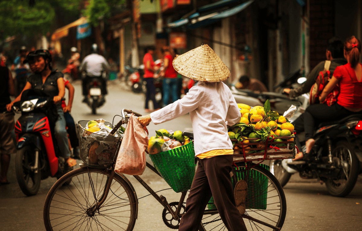 Vegan Hanoi