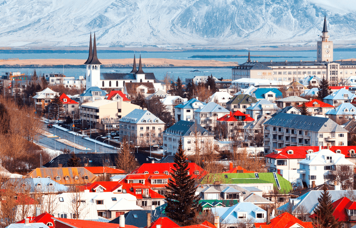 Vegan Iceland