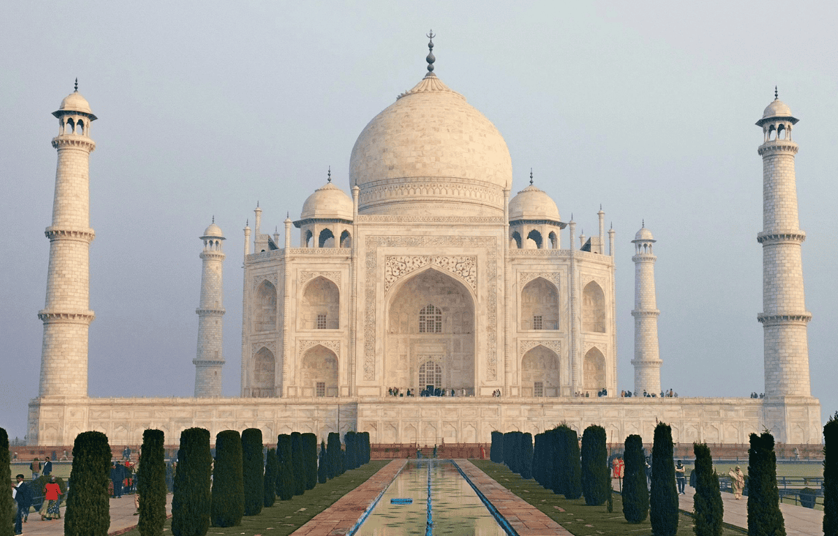India vegan travel guide