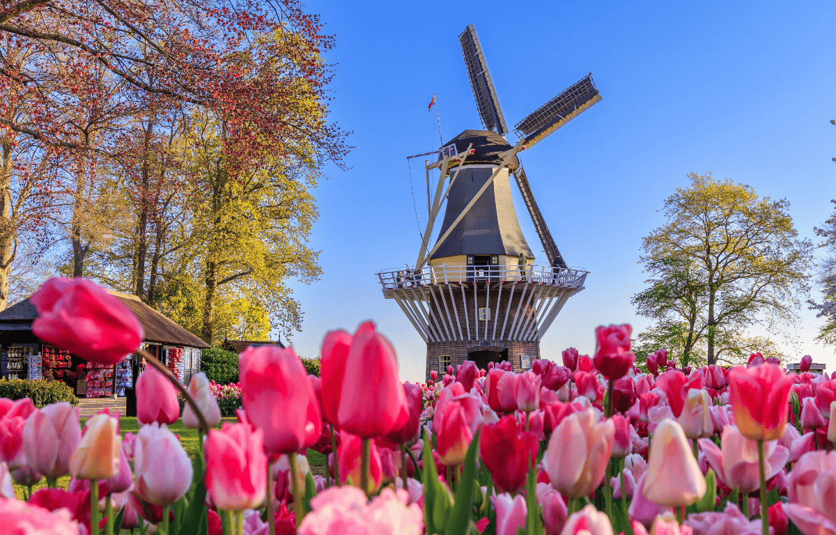 Netherlands vegan travel guide