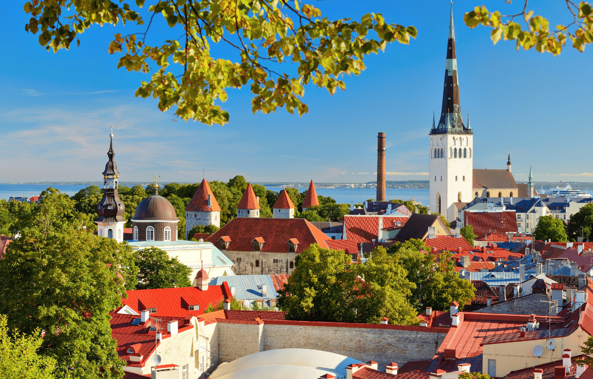 Vegan Tallinn