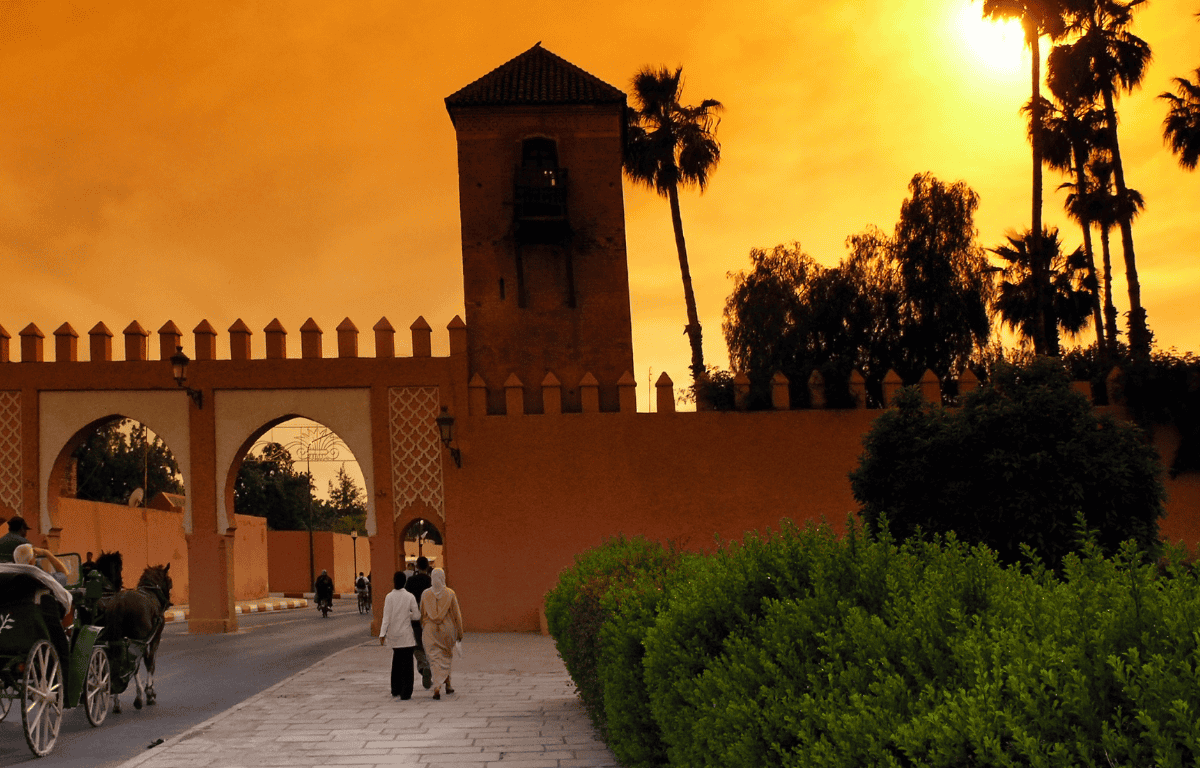 Vegan Marrakech
