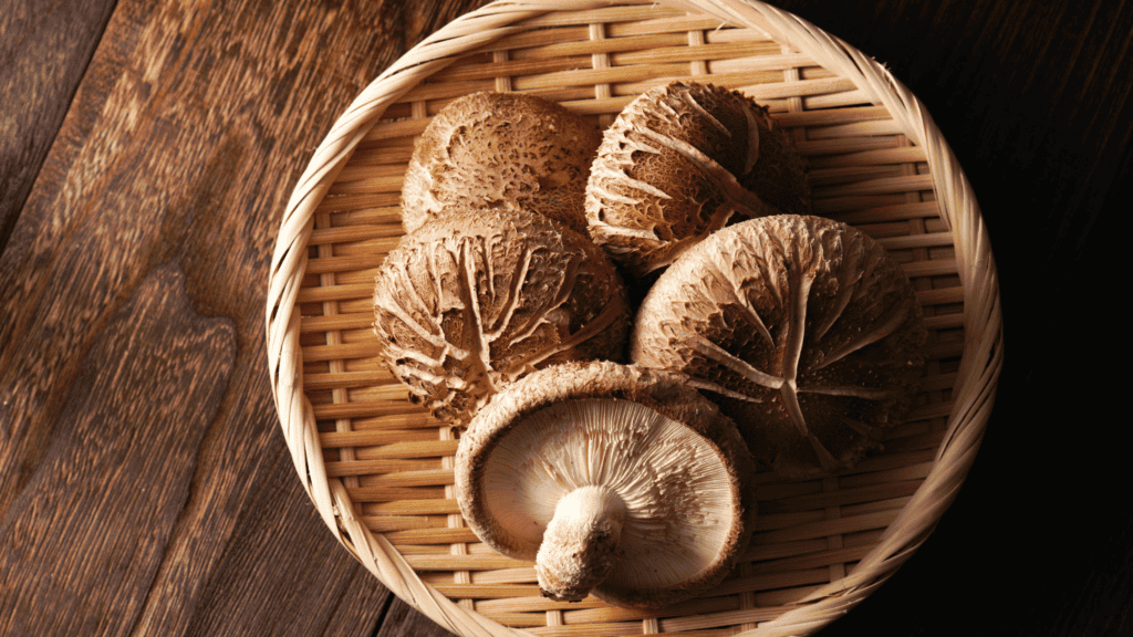 shiitake mushrooms, which are used in plant based dashi
